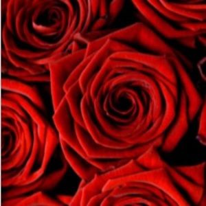 Meet your Posher, Jayden